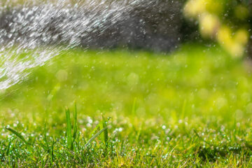 Sprinkler Systems